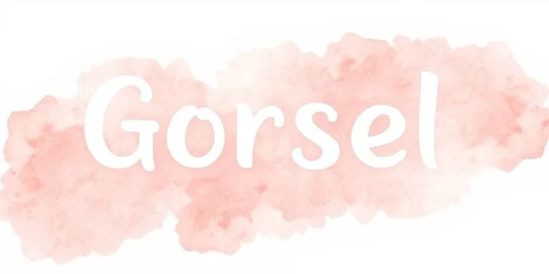 Gorsel Dogrulama